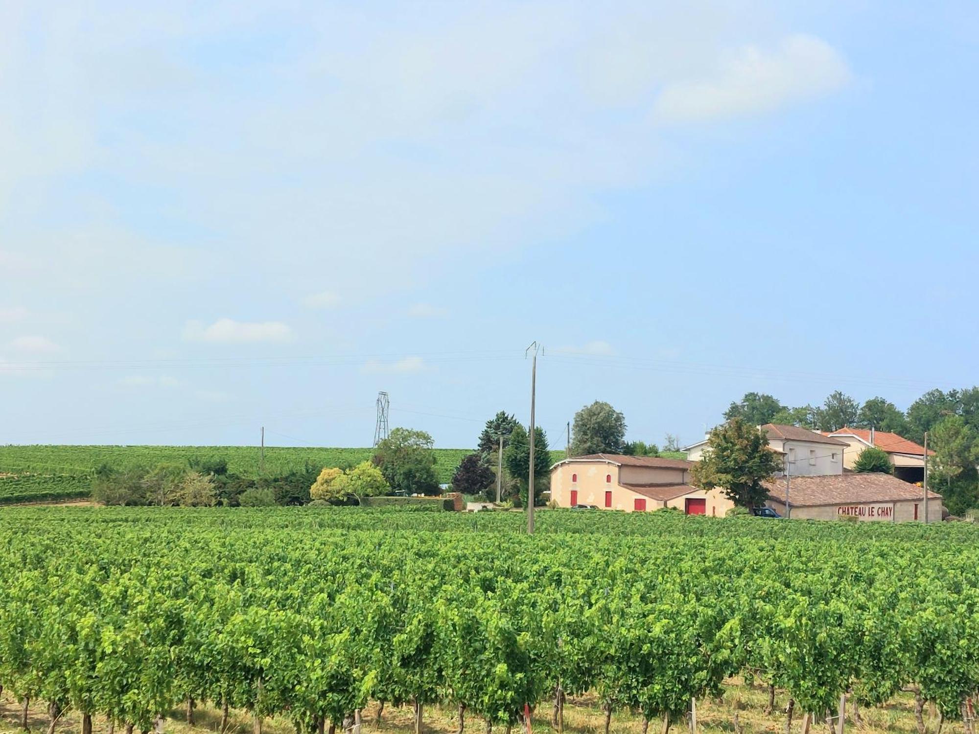 Duplex Cocoon - 10 Min De Blaye - 20 Min Cnpe - Wifi - Tv Hd Apartment Saint-Seurin-de-Cursac Exterior foto